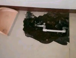 东昌卫生间测漏水多少钱
